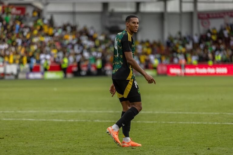 Breaking Isaac Hayden Agrees Newcastle Exit Deal